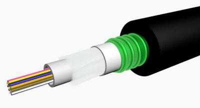 OFC-24G.652D-CGStD-S1 OFC-24G.652D-CGStD-S1